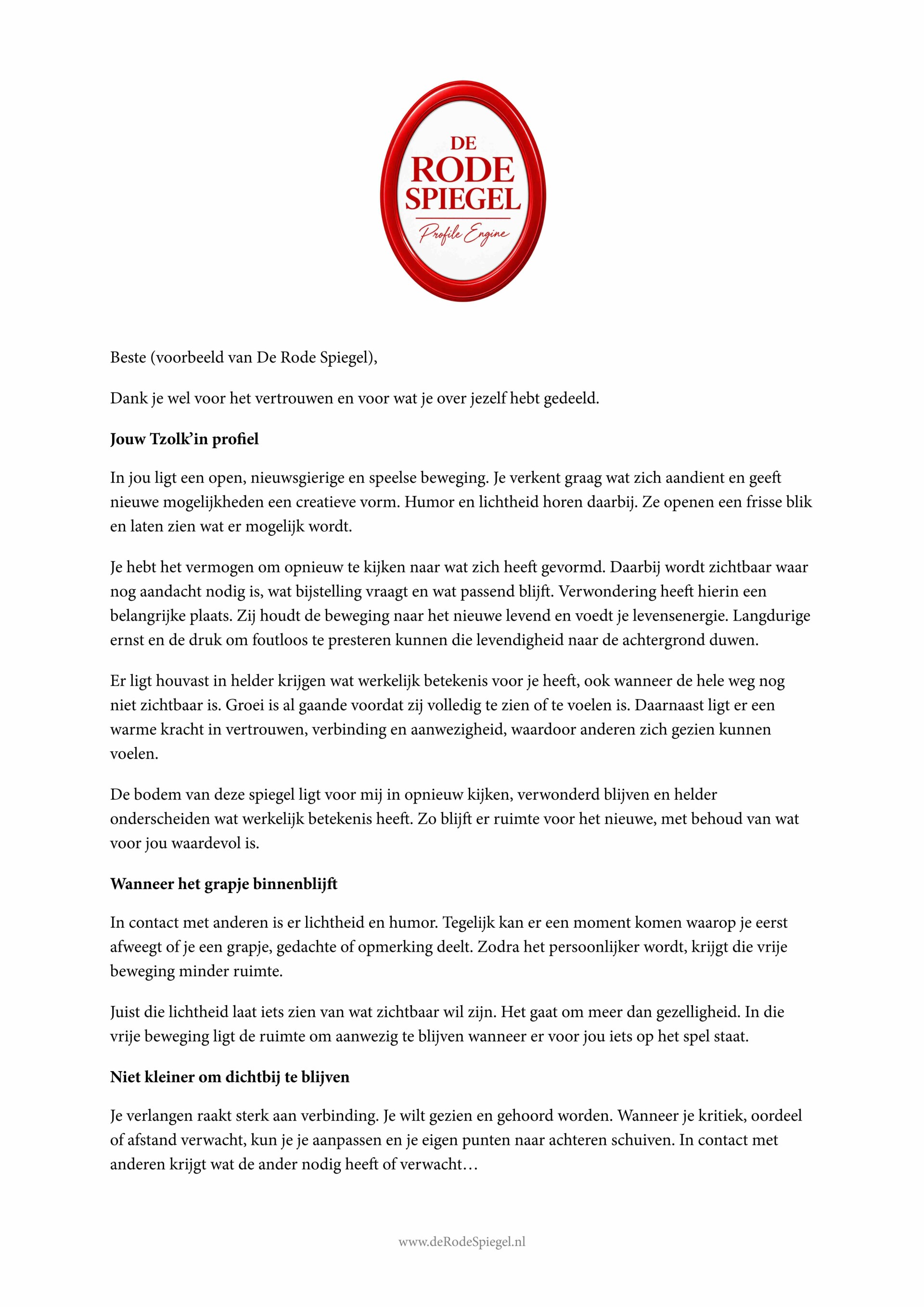 De Rode Spiegel   voorblad